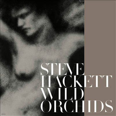Steve Hackett — Wild Orchids 앨범 커버