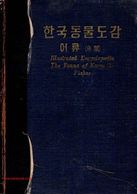 1961년 초판 한국동물도감 어류