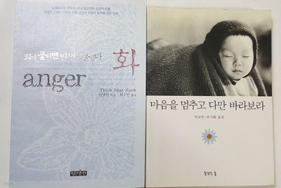 마음을 멈추고 다만 바라보라 + 화 anger /(두권/틱낫한/하단참조)