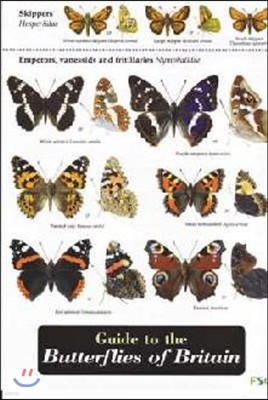 Guide to the Butterflies of Britain