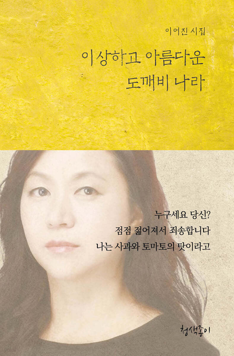 이상하고 아름다운 도깨비 나라