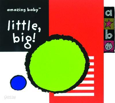 Amazing Baby Little, Big!: An Amazing Baby Mini Board Book