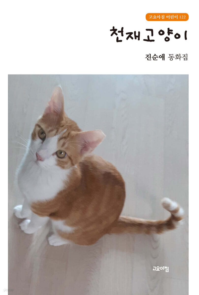 천재고양이