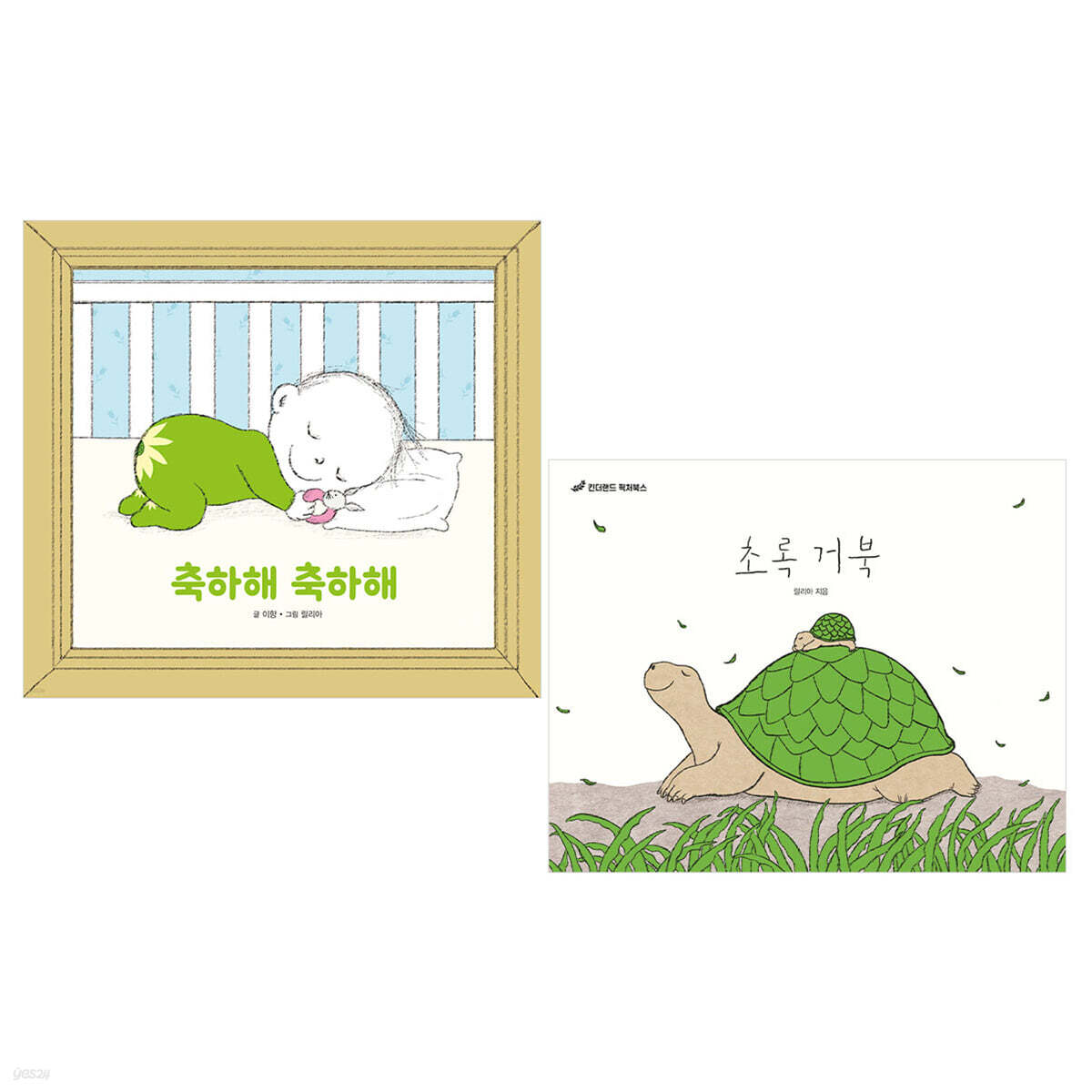 축하해 축하해 + 초록 거북 세트