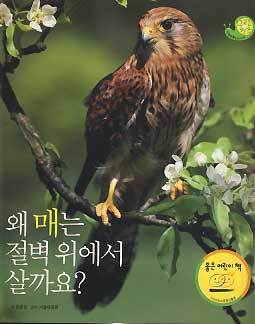 왜 매는 절벽 위에서 살까요 - 그린키즈 자연관찰 페이버백 18