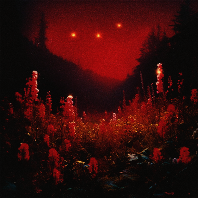 Silent Planet — Superbloom 앨범 커버