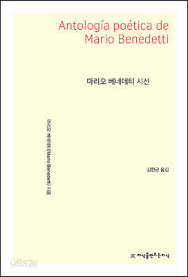 마리오 베네데티 시선