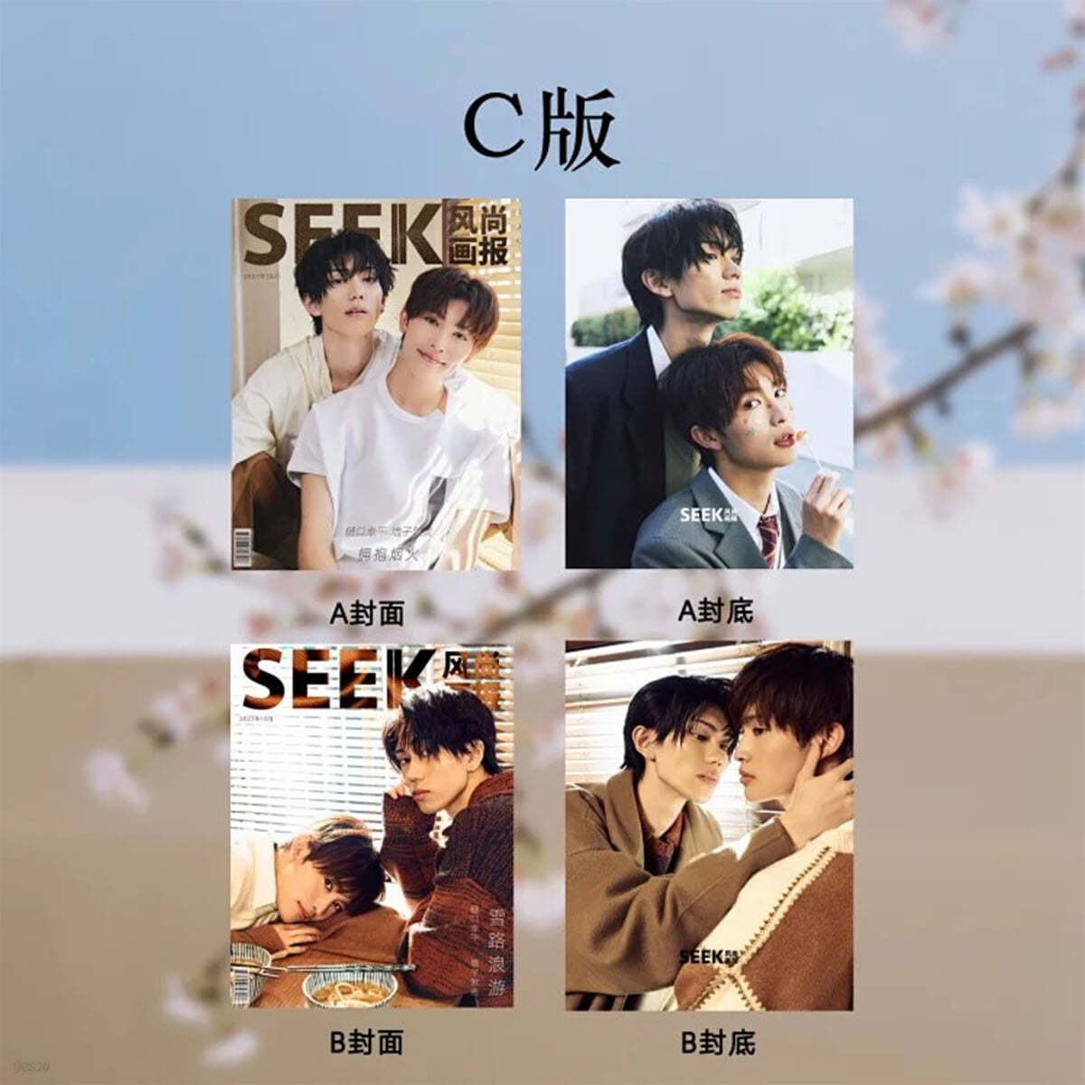 [C형] SEEK 2023년 10월호 히구치 코헤이 & 마시코 아츠키 커버 (A형 잡지 + B형 잡지 + 포토카드 8종 증정)