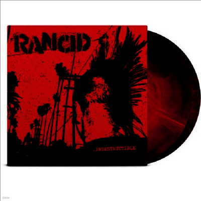 Rancid — Indestructible (Anniversary Edition) 앨범 커버