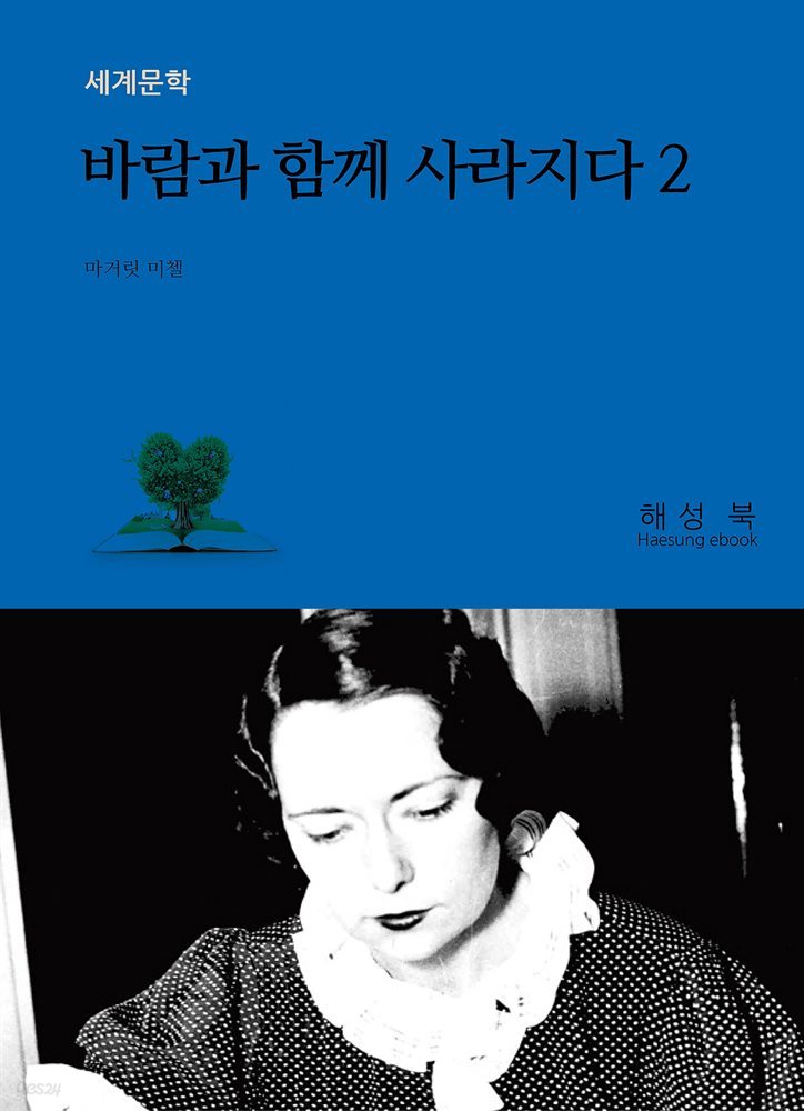 바람과 함께 사라지다 2권