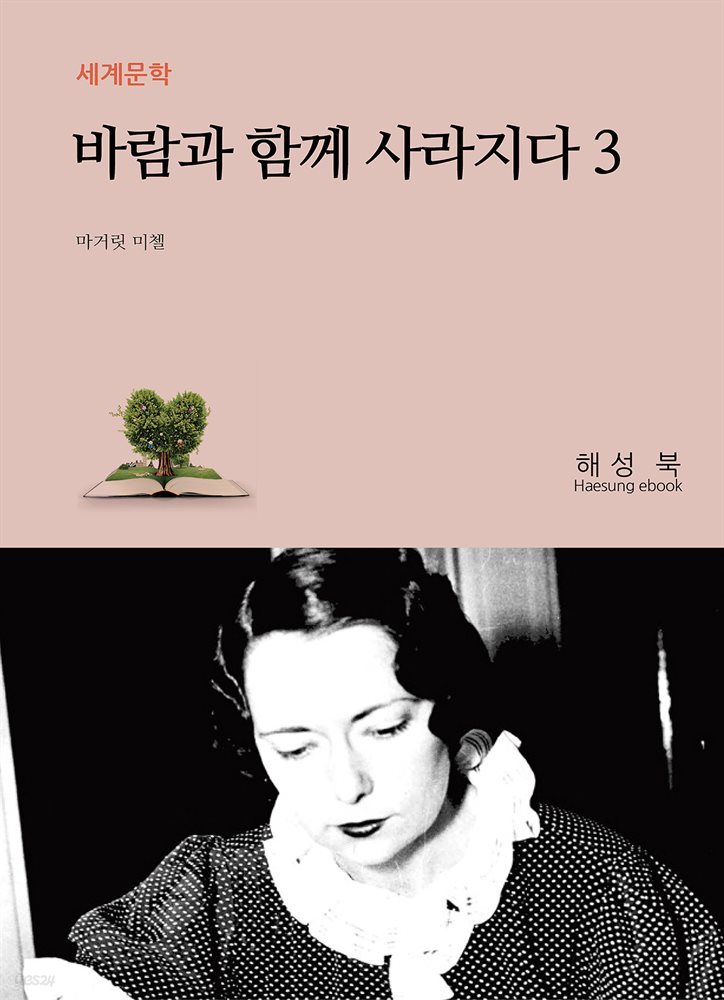 바람과 함께 사라지다 3권