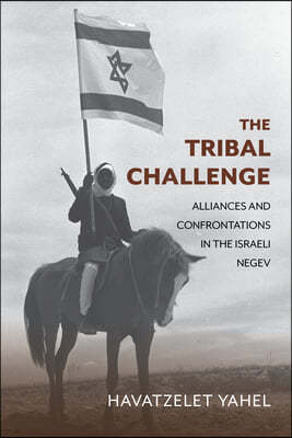 The Tribal Challenge: Alliances and Confrontations in the Israeli Negev