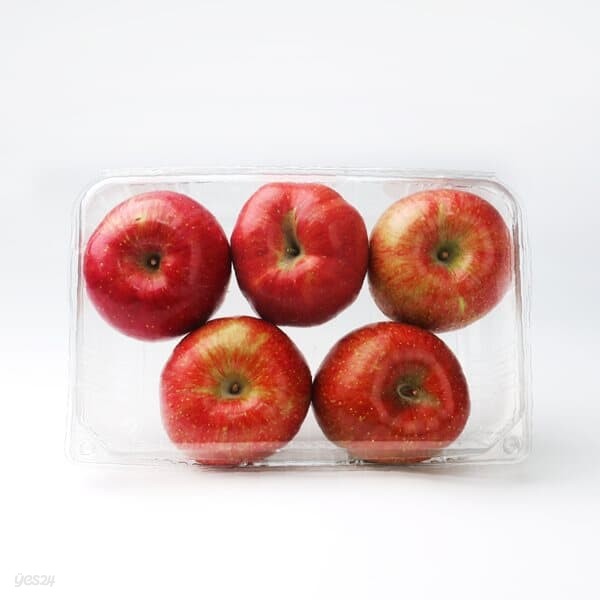 [과일愛]오늘의 과일 사과 1.2kg