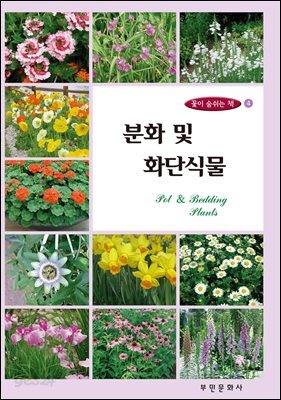 꽃이 숨쉬는 책 4 분화 및 화단식물