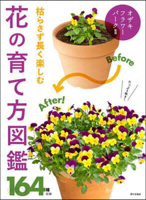 枯らさず長く樂しむ花の育て方圖鑑