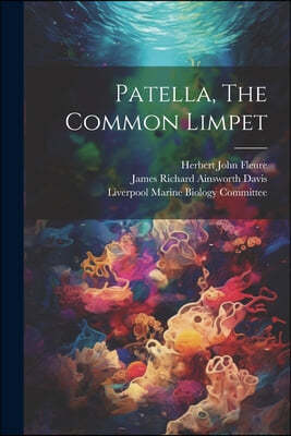 Patella, The Common Limpet