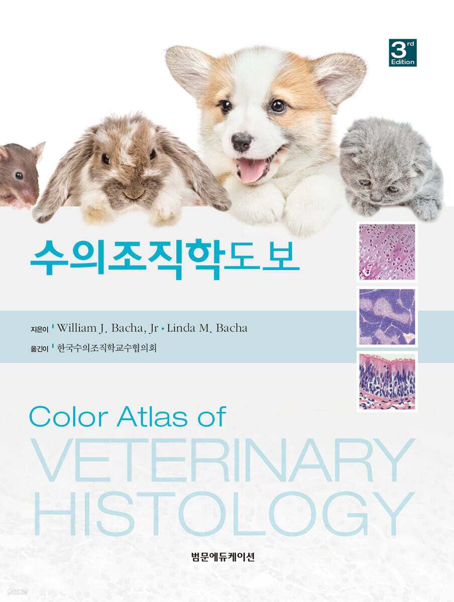 수의조직학 도보