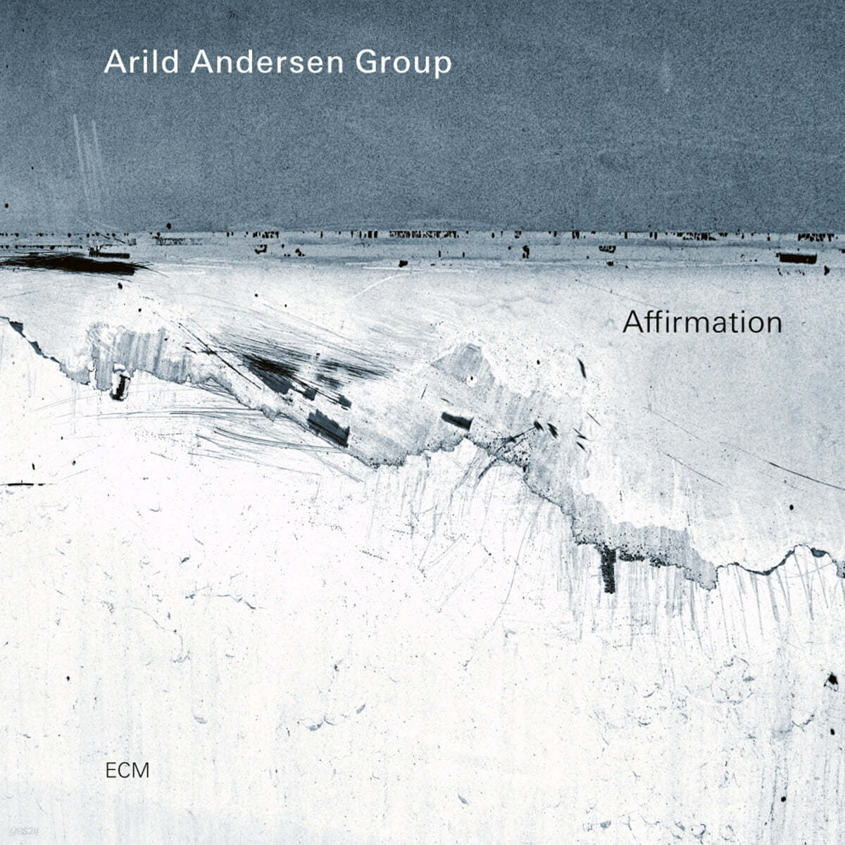 Arild Andersen Group (아릴드 안데르센 그룹) - Affirmation [LP]