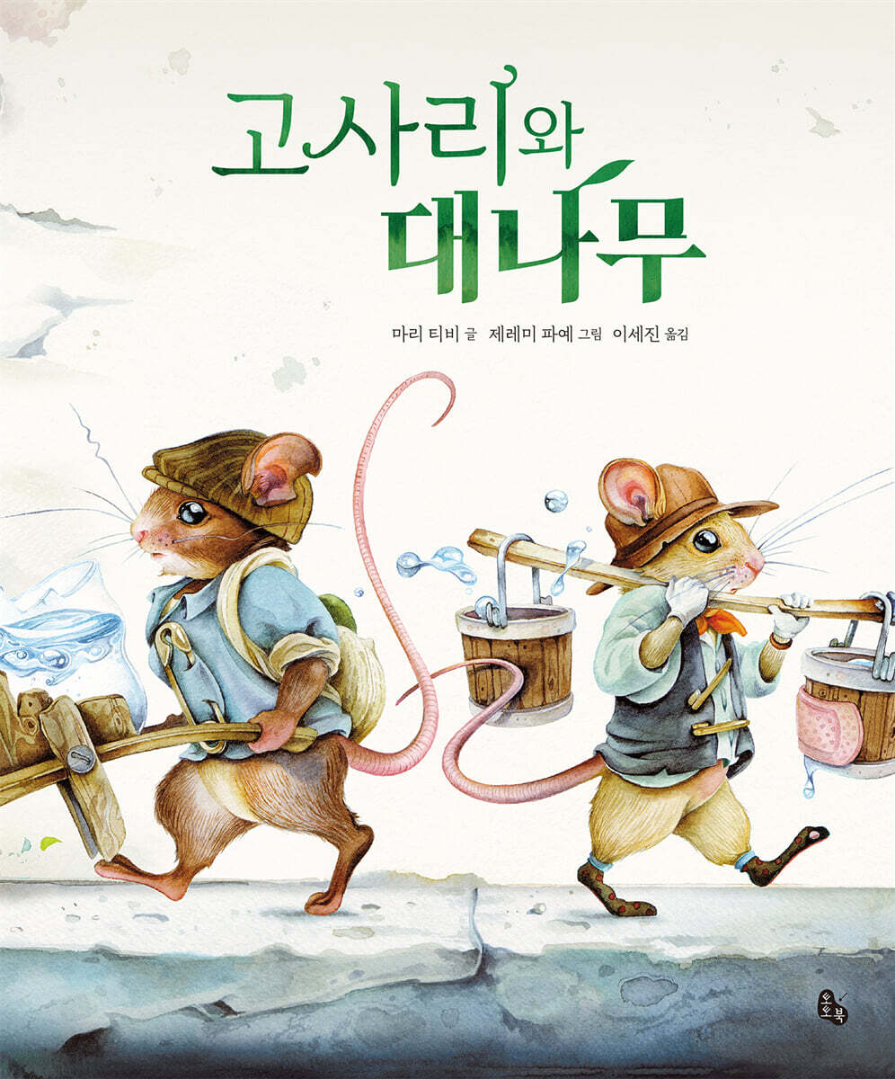 고사리와 대나무