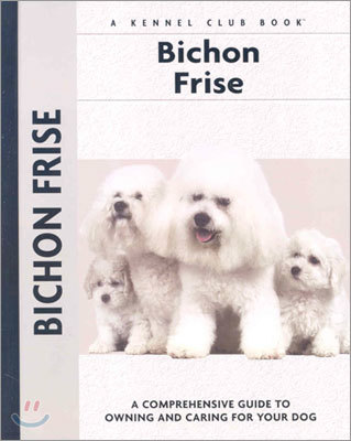 Bichon Frise