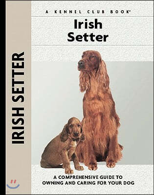 Irish Setter