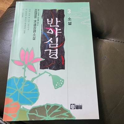 소설 반야심경 3 김영웅 밀알