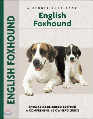 English Foxhound