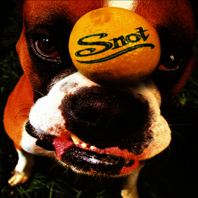 Snot - Get Some (LP)