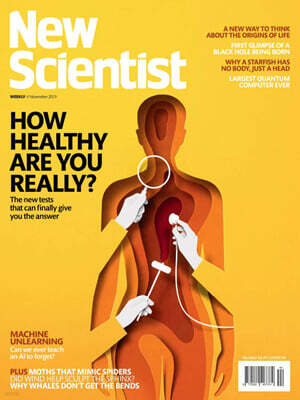 New Scientist New Scientist (주간) : 2023년 11월 04일