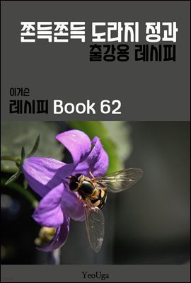 이거슨 레시피 BOOK 62 (쫀득 쫀득 도라지 정과)