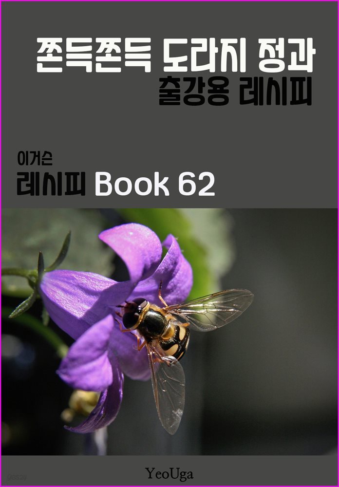 이거슨 레시피 BOOK 62 (쫀득 쫀득 도라지 정과)