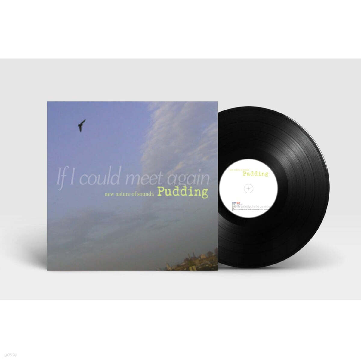 푸딩 (Pudding) - If I Could Meet Again [2LP]