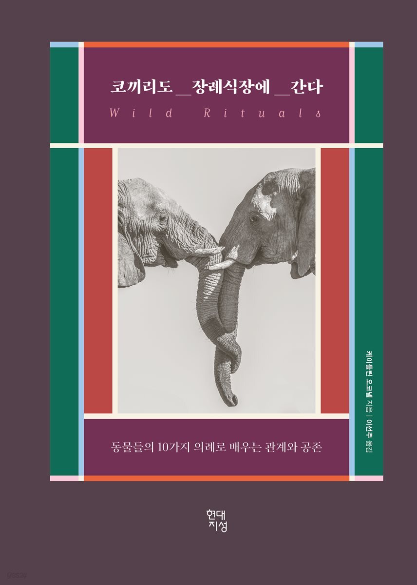[대여] 코끼리도 장례식장에 간다