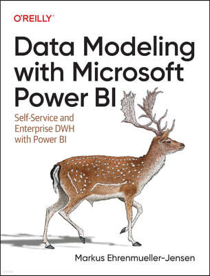Data Modeling with Microsoft Power Bi: Self-Service and Enterprise Data Warehouse with Power Bi