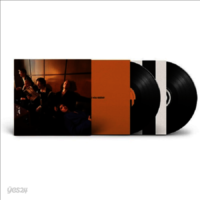 Giant Rocks - How Have You Been (180g Gatefold 2LP)
