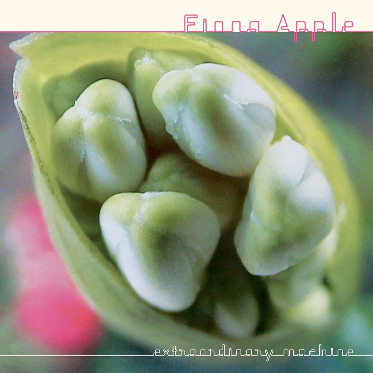 Fiona Apple (피오나 애플) - Extraordinary Machine [2LP]