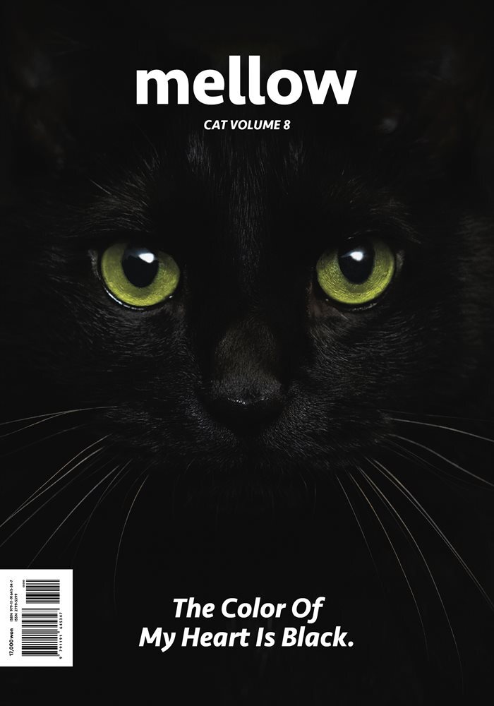 Mellow Cat Volume 8 멜로우 매거진