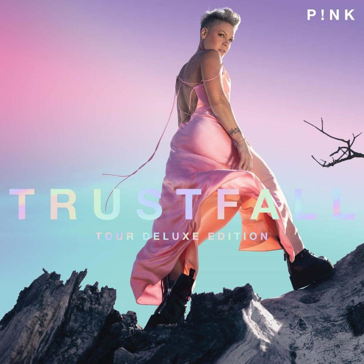 PINK (핑크) - 9집 Trustfall [2LP]
