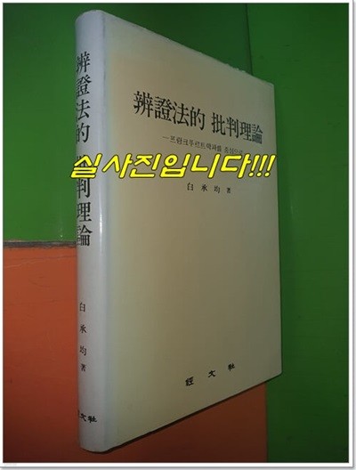 변증법적 비판이론: 프랑크푸르트학파를 중심으로 (1982년초판)