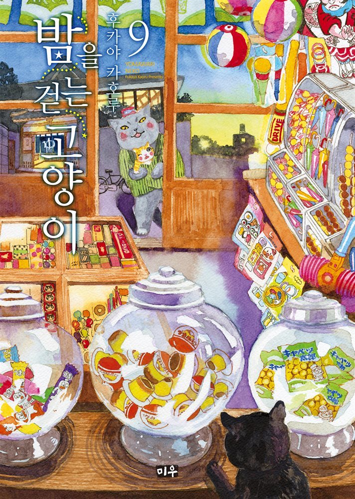 밤을 걷는 고양이 09권