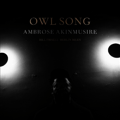Ambrose Akinmusire — Owl Song 앨범 커버