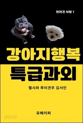 강아지행복 특급과외