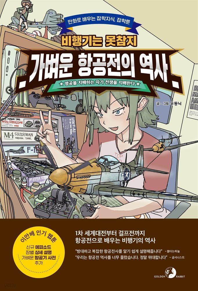 가벼운 항공전의 역사