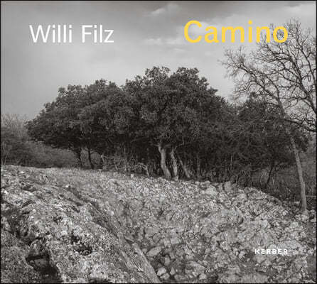 Willi Filz: Camino