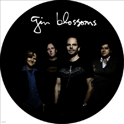 Gin Blossoms — Live In Concert (Picture Disc) 앨범 커버