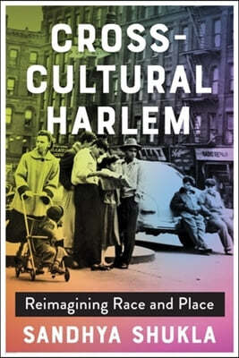 Cross-Cultural Harlem