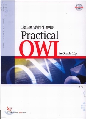 Practical OWI in Oracle 10g