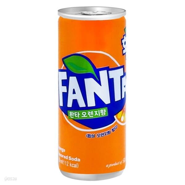 환타 오렌지 250ml/30캔