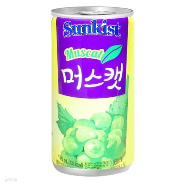 썬키스트 머스캣 175ml/30캔