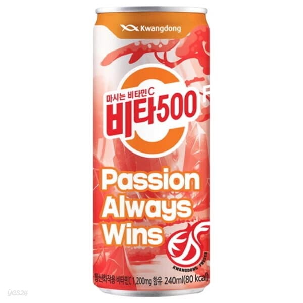 비타500F 240ml/30캔